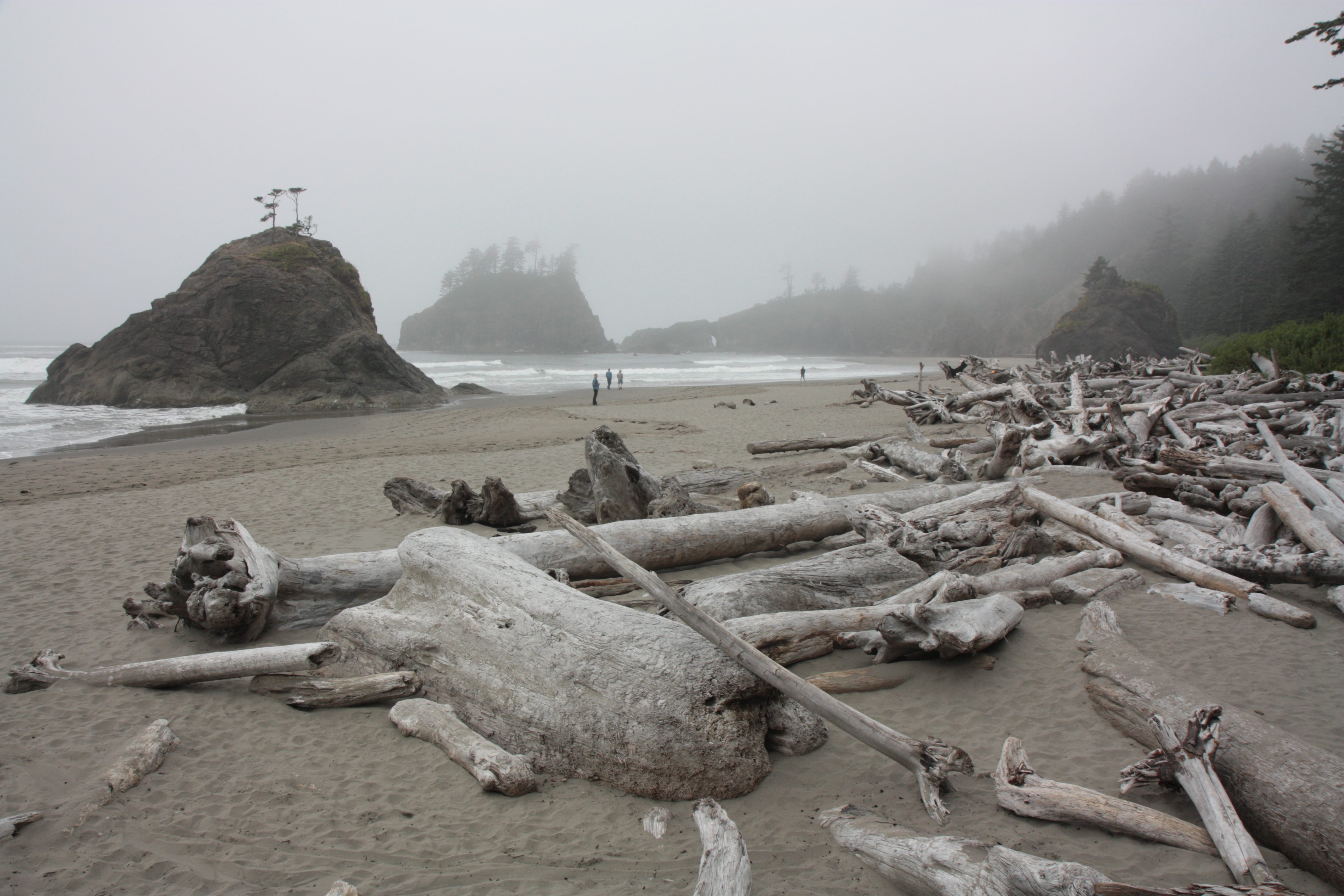 Olympic NP